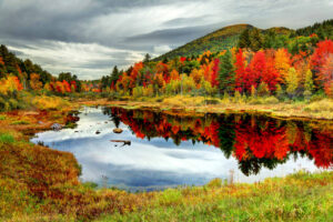 This New England state is the...