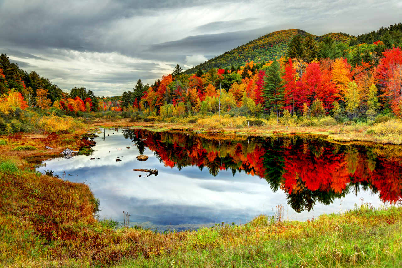 This New England state is the...