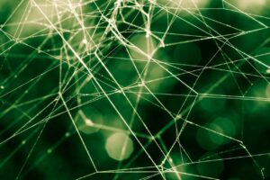 BioCatch Unveils Scam Detection Tool Scams360